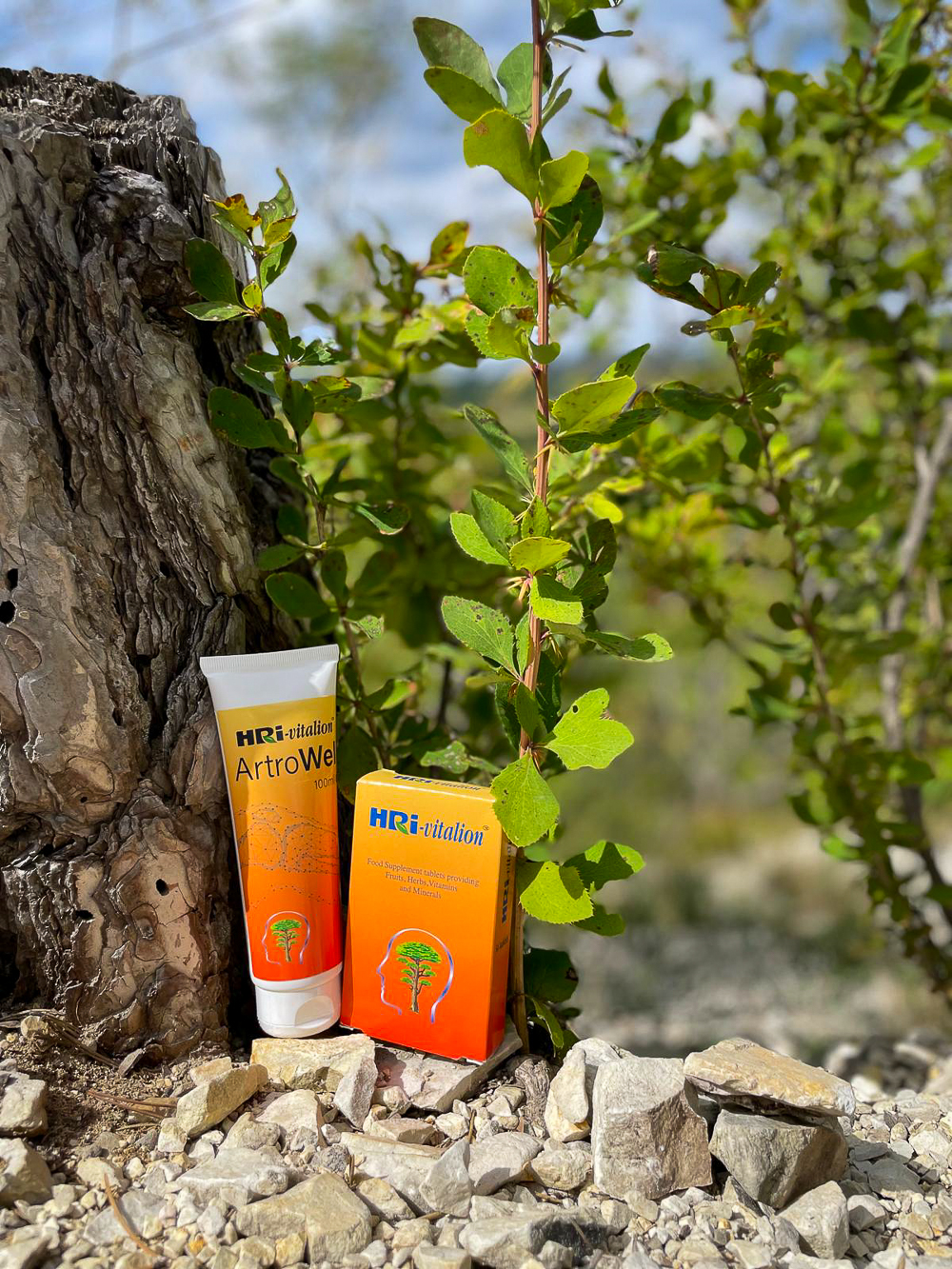 HRI-Vitalion tabletta - Image 3